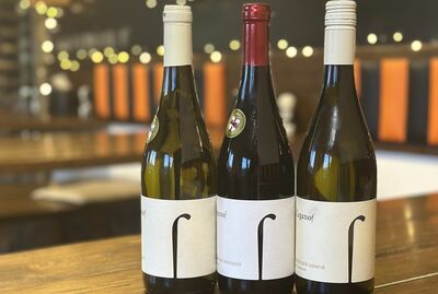 Sauvignon 2023/ suché 0,75l