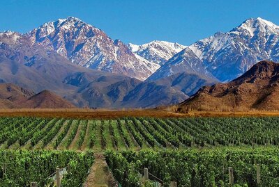 Amadeo - Malbec - Argentina