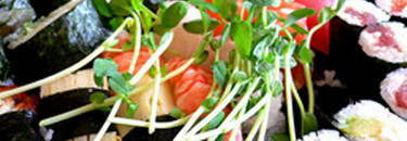 Party Trays