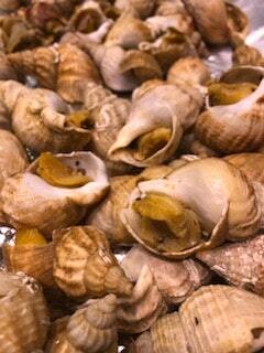 100gr Bulots cuits maison
