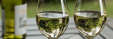 Wines - White
