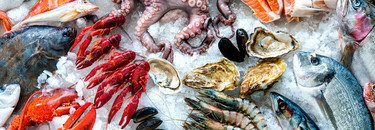 PESCADOS