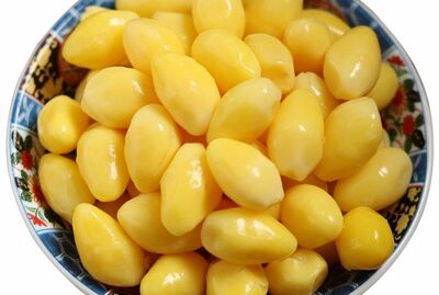 A13.  Gingko