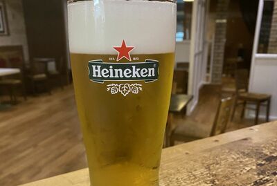 Heineken  (Pint of Beer)   ( Allergens: Gluten Wheat)