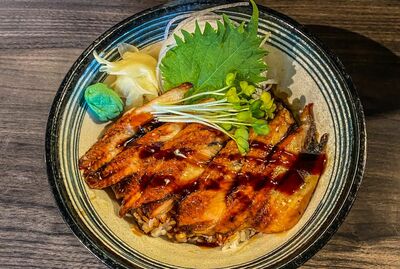 Unagi Don