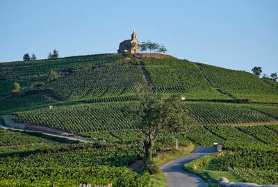 Fleurie Cœur de Granit - Beaujolais - France