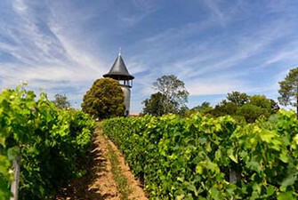 Clos de May - Haut-Médoc Cru Bourgeois - France