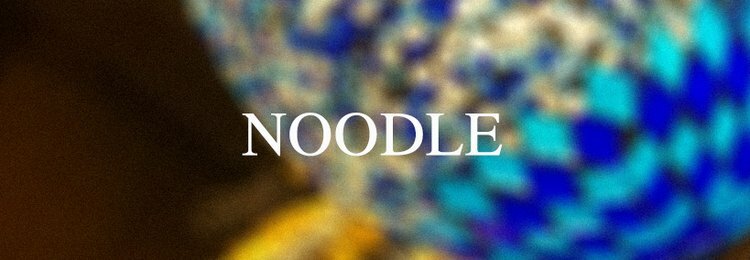NOODLES