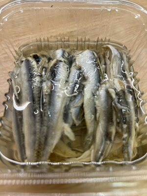 Anchois nature