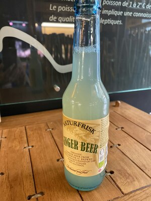Ginger Beer Bio