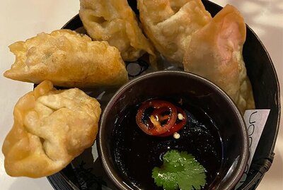 Chicken Gyoza 雞餃子