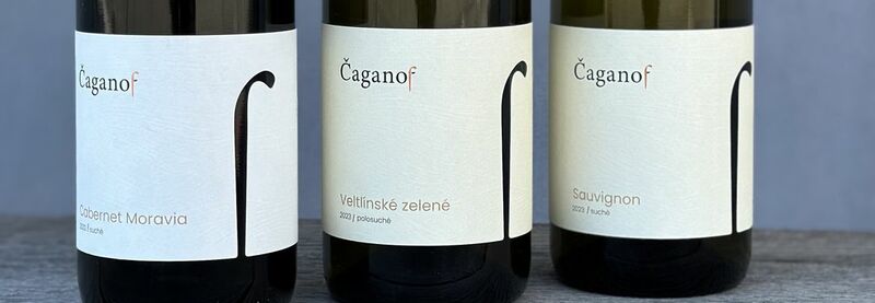 🥂 Lahvové víno Čaganof 🥂