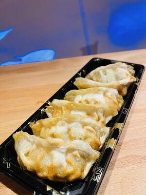 Chicken Gyoza / 鸡肉饺