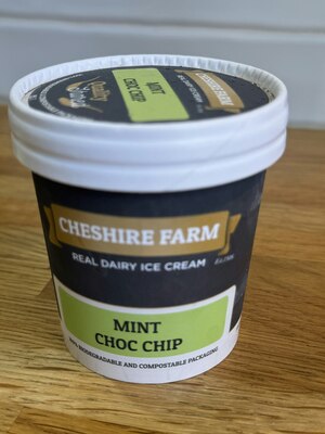 MINT CHOCOLATE CHIP