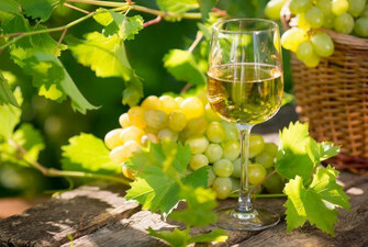 Guillaume Aurèle - Sauvignon Blanc - France