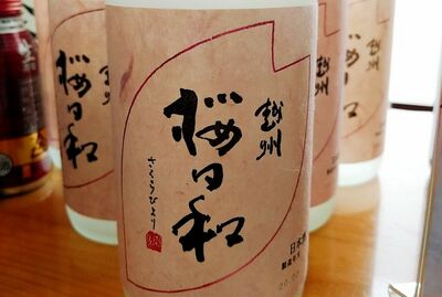 朝日酒蔵(久保田) 越州 桜日和　Esshu Sakura Biyori/Asahi shuzo(Kubota)