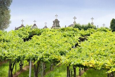 Abadia do Seixo - Albariño - Spain