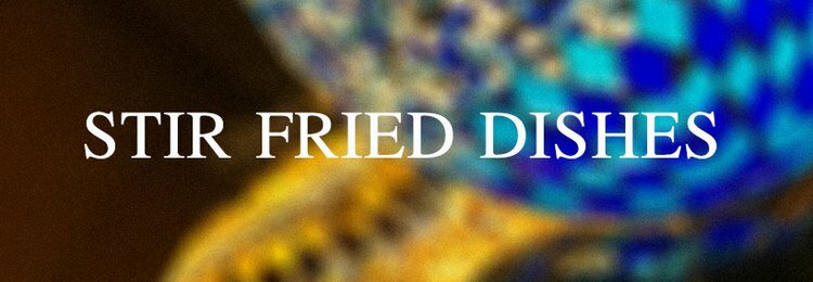 STIR FRIED DISHES