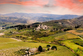 Folonari - Pinot Grigio - Italy