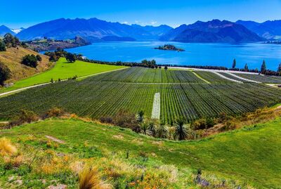 30 Mile - Sauvignon Blanc - Australia
