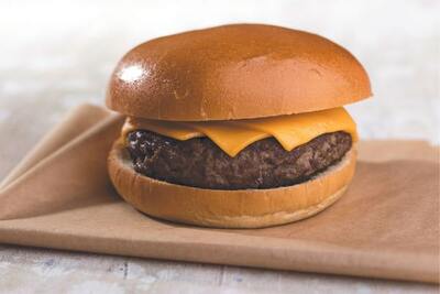 Plain Burger