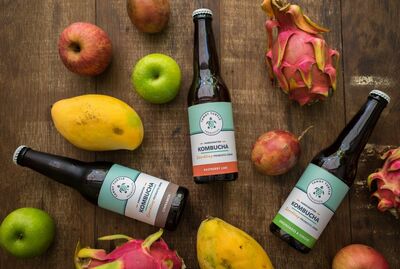Tangy Turtle Kombucha