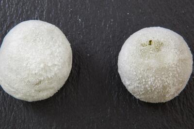 Mochis little Moon´s Te verde