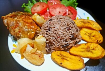 Fricasé de Pollo