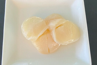 scallop