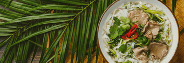 VIETNAMESE