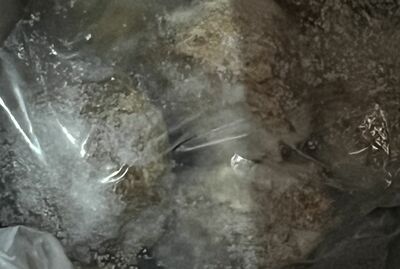 牛筋丸 1lb