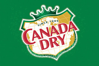 Ginger Ale 355ml