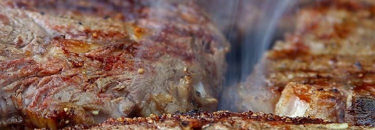 CARNES