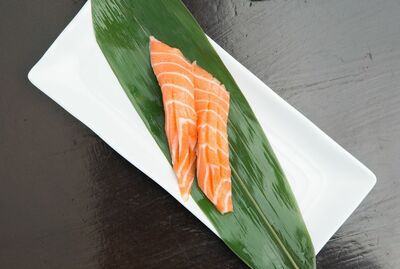 Salmon