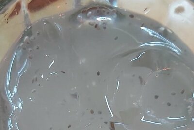 Limonada con chia