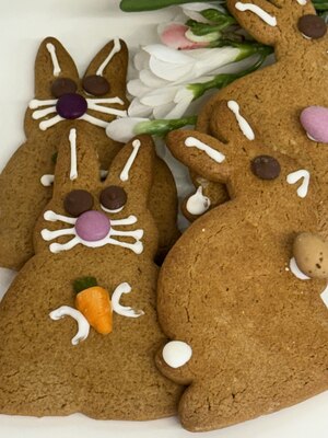 Gingerbread Biscuits