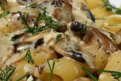 Penne al Pollo