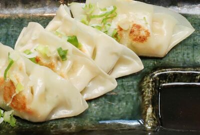 Vegetable Gyoza (V)