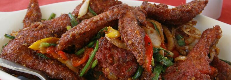 CHICKEN APPETIZERS