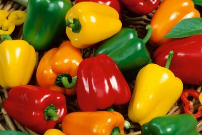 Bell Peppers