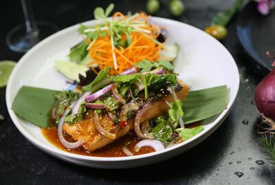 GRILLED SALMON SALAD