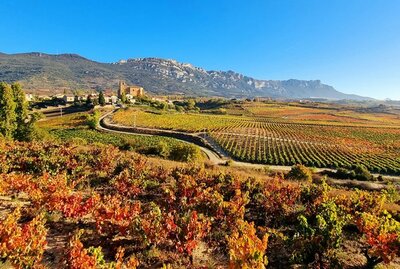 Viña Amate Reserva - Rioja - Spain