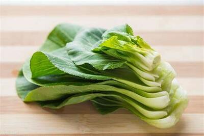 上海青 / Shanghai cabbages