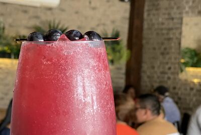 Soda Frutos Rojos