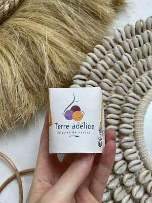 Glace bio Terre Adélice