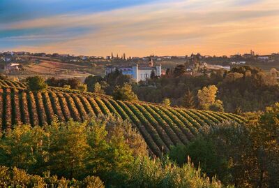 Leda Truffle Hunter - Barbera d’Asti - Italy