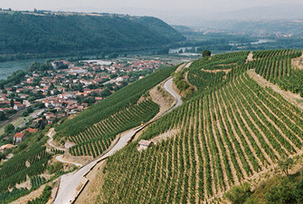 Domaine Fond Croze - Côtes du Rhône - France
