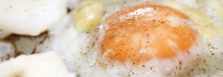 EGG SUBS