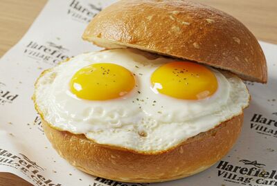 Double Fried Egg