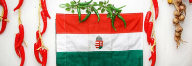 Foods Hungarian and Continentals / PLATOS HÚNGAROS Y CONTINENTALES